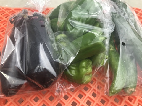 【週末５箱限定】【淡路島　和田農園】定番玉ねぎ３kgと夏野菜３種のセット