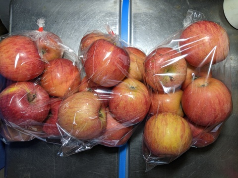 りんご小サイズ