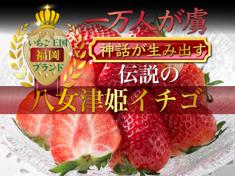 【糖度15度オーバー】一万人が虜になった究極の匠の叡智『八女津姫ブランドいちご』超大容量パッケージ約1000g【冬ギフト】【2月中旬予約】