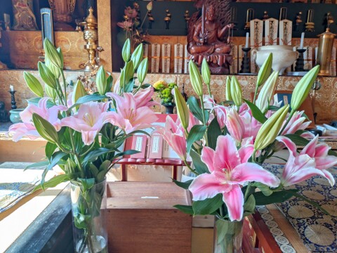 【年末向けご予約含みます】簡易包装■ピンクユリ５本束■ F.F.HIRAIDEがおすすめする子をお届け♥　※年末のご予約締め切りは12月22日午前9時まで！！