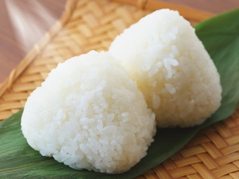 【新米 令和7年産】淡路島産キヌヒカリ 5kg（精白米）