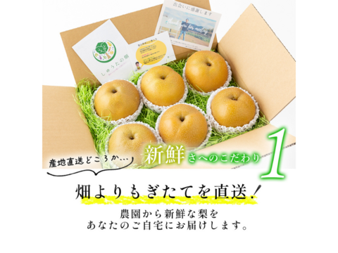 【ありがとうを伝える専用BOX】幸水　６～7玉【シャキッ！と食感♪】甘くてさっぱりな梨♪　お中元にもピッタリ！　発送は７月下旬頃～