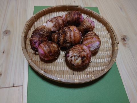 旬の新鮮掘り立て里芋(2kg)30〜35玉
赤目、白目混合(限定2個)