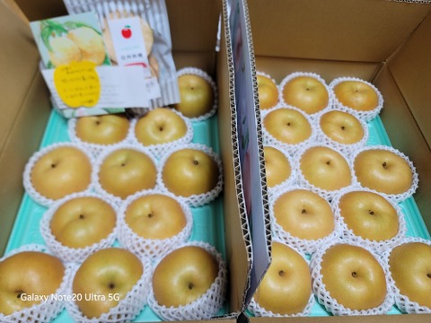 南水 梨 （5kg）2箱