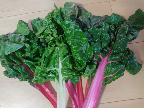 ✨【宝探しBOX】畑の「もったいない」を詰め合わせ！もったいないを美味しく救う！旬の不揃い訳あり野菜おまかせ便（Sサイズ）✨農薬・化成肥料不使用