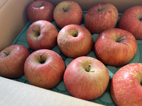 感謝お礼セール‼️とことん味にこだわりました💪😊🍎青森県産葉取らず完熟ふじ約6kg家庭用‼️