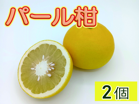 【お試しに】ビッグで上品な甘み！『パール柑』【わけあり 2個】