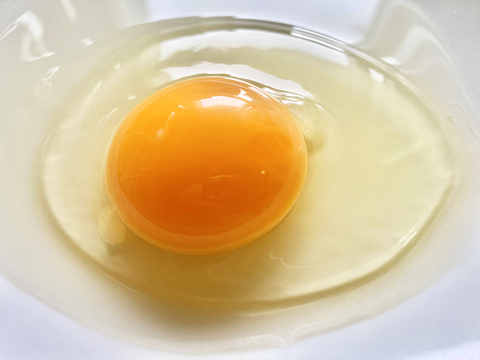 【土曜日発送】兵庫県産の新鮮な朝どりＬ卵27個(30個入り3個割れ保障）生たまご たまご 生卵 タマゴ