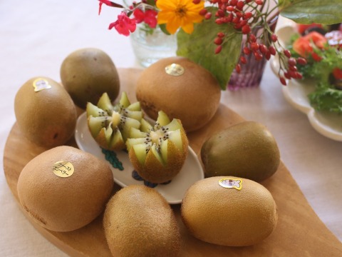 キウイ３種と３種のミニジャムセット：Ｓ箱