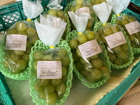 【朝どれ】【9月下旬からお届け:1kg以上！】ブドウ＊マスカサーティーン 1kg箱