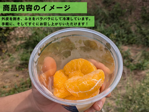 残暑を健康的に乗り切る！ふさ分け冷凍みかん（100g×12カップ）