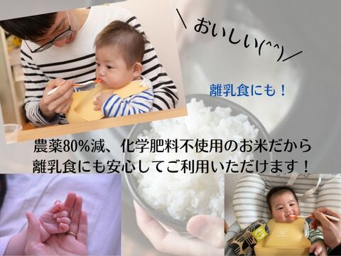 【通常価格3,100円⇨セール価格2,690円】炊飯食味値80点以上獲得した滋賀県産「コシヒカリ」 白米5kg