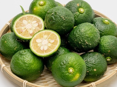 有機JAS 青ゆず５キロ -2025年産-