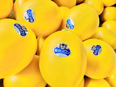 【お中元】【夏ギフト】特秀:数量限定・幸せの黄色いメロン(キンショー) 約4キロ
