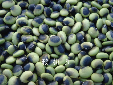 【７種類の大豆が５０gずつのお試しセット】色々な大豆をお試しください【食べ比べ】