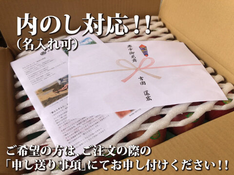 【冬ギフト】青森県産 約１０キロ 季節の樹上完熟りんご詰め合わせセット【上実贈答用】