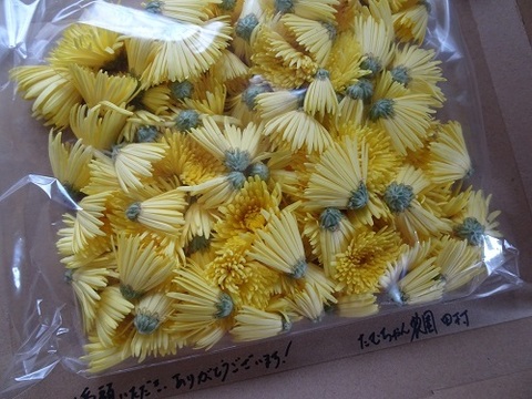 山形伝統野菜 食用菊黄色150g