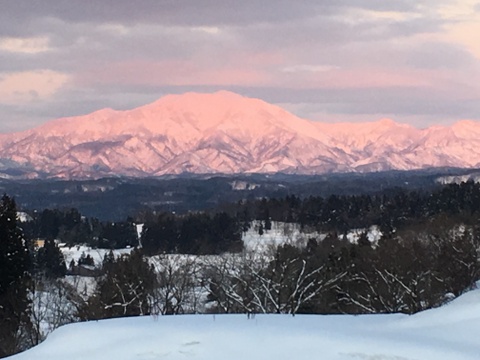 えっ？亀ノ尾？天然水で育てた「亀ノ尾」棚田米　5ｋｇ　令和4年度産米