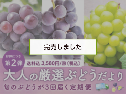 【200セット限定】 大人のぶどうだより第二弾（食べチョク公式）