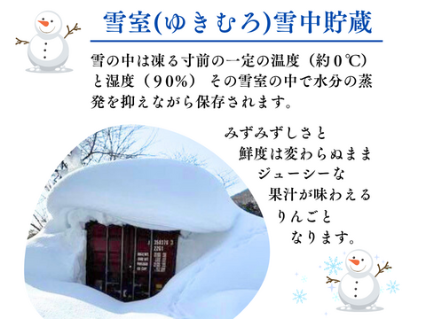 【貯蔵リンゴ】ふじ サンふじ  約8〜10玉 3キロ 希少 発送 りんご 雪室 秋田 雪 甘い 雪中貯蔵 長期保存りんご りんごの効能 Apple 母の日 ギフト フルーツ 家庭用