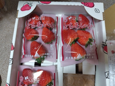 (4P)約1kg【いちご・とちあいか】実がしっかりして酸味が少なく甘さが際立つ新品種★「とちあいか」(４パックx260g) 栃木県産いちご●一番人気いちごセット●お届け日指定可