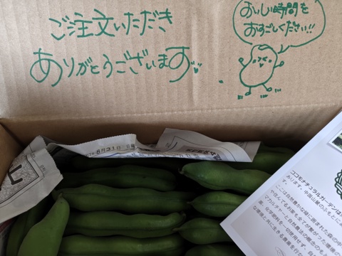 【朝採り当日発送】春だけのごちそう。甘くてやわらかい旬そら豆😋2.3Kg　農薬化学肥料不使用✨ご予約受付　発送5月下旬以降　短い季節だけの数量限定のお届け空豆 そらまめ ソラマメ 〜畑からの直送便〜