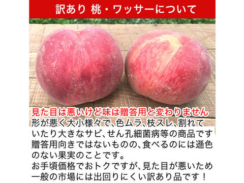 うま～い！ 訳あり 桃 約2.8kg およそ6-14玉 品種おまかせ 長野県産 産地直送 #NPH0B028