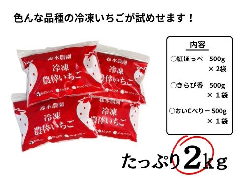 【福袋2025】森木農園人気の冷凍いちご贅沢福袋（紅ほっぺ＆きらぴ香＆おいCベリー）日常使いしやすい個袋パック。
