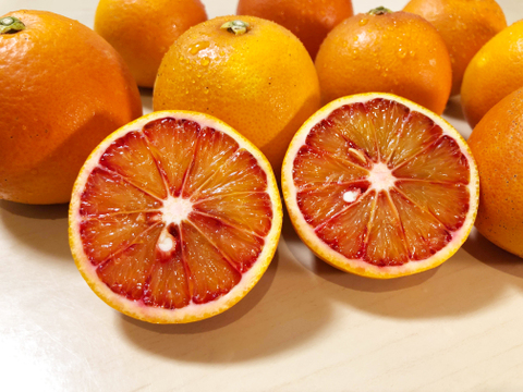 ブラッドオレンジ タロッコ 2kg : 赤色の果汁が特徴のオレンジ