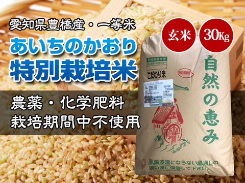 【栽培期間中農薬不使用・一等米】あいちのかおり 玄米30kg(10㎏×3袋)【令和2年・愛知県産】