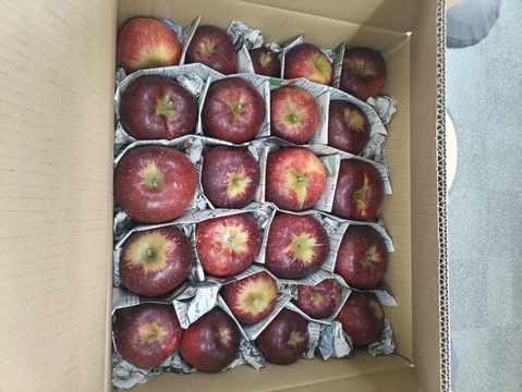 数量限定！訳アリ規格外！信州麻績村産の秋映5kg