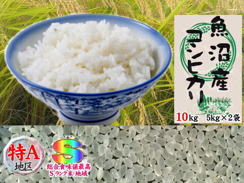 南魚沼産コシヒカリ乾式無洗米10kg(5kg×2)令和2年産🌾
