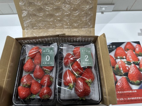 【お試し価格★】《全国いちご選手権銀賞受賞！》おいCベリー他『晴れの国岡山の樹上完熟いちご』2パック詰合せ(品種おまかせ)（2パック、約540g）