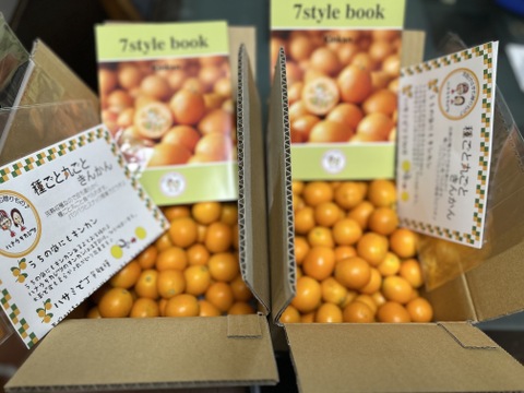 2箱専用「種ごと丸ごときんかん」計1.5kg×2箱