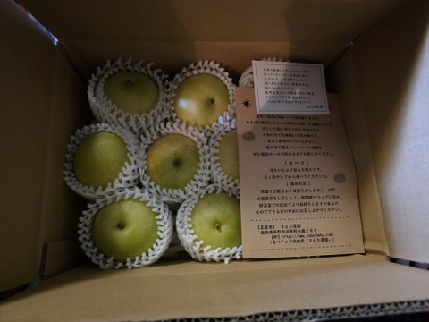 鳥取産★朝採れ二十世紀梨★3kg(7～9玉入り)