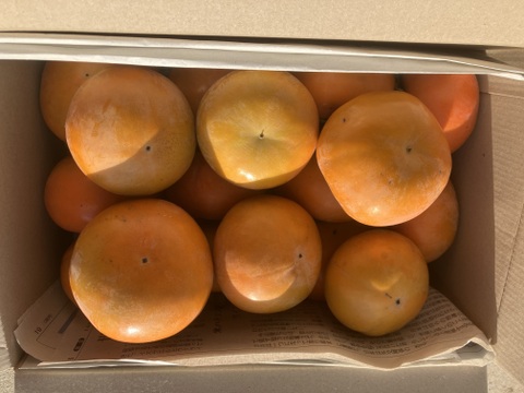 ☆昔ながらの柿(約１５玉前後)☆