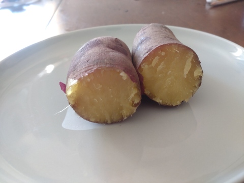 冬野菜セット9～10品目(３～4人分)　元イタリアンシェフが育てる「濃厚で甘み・苦味の濃い野菜」家族で１週間楽しめる野菜セット【福袋】