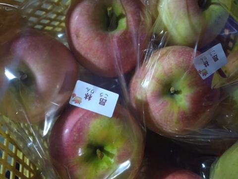 家庭用🍎旬のおまかせ葉とらずりんご🍎品種9個〜11個詰め3㌔箱