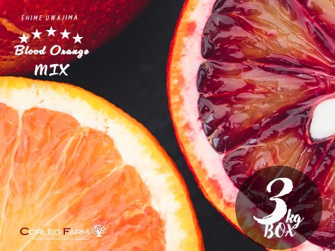 【EHIME UWAJIMA】ブラッドオレンジ食べ比べ<モロ＆タロッコ>3kgBOX(2,5kg)