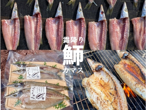 綱元漁師★天日干し干物ギフト箱セット【夏ギフト】