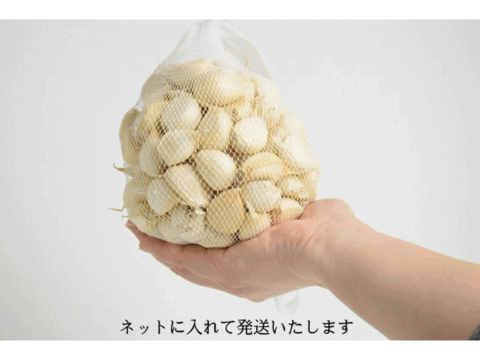 栄養満点！風味抜群！青森県産「津軽にんにく」 バラ 小粒 中粒 500g