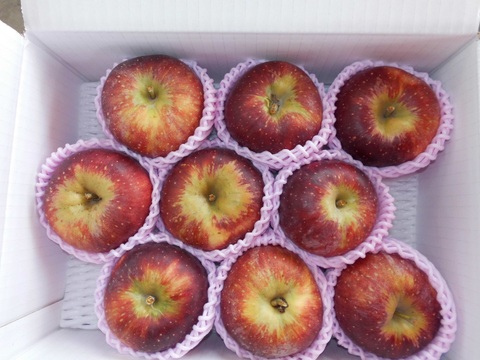 まるせい果樹園の秋映　　3kg自家用　贈答用　(6～15玉入り)　玉数指定不可　ｒｂ3