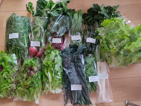 ✨世界に一つだけのプレミアム野菜便（農薬・化成肥料不使用）✨あなたの「欲しい」が詰まった一箱。わがままを叶えるオーダーメイド野菜便🥬【朝どれ】