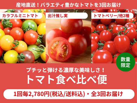 【販売終了】【限定200セット】トマト食べ比べ便（食べチョク公式）