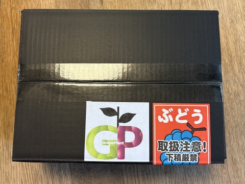 ブドウ粒売りmasqueradeマスカレード(マスカット系３種食べ比べ) 500ｇ１P