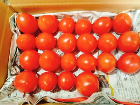 【自然栽培】大好評!!甘い完熟中玉トマト🍅✨Ｓ（1㎏)