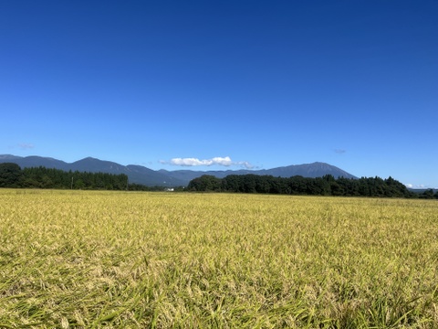 2023年産米　ひとめぼれ　精白米５ｋｇ　岩手県『虹の似あうまち』雫石町からお届けします。