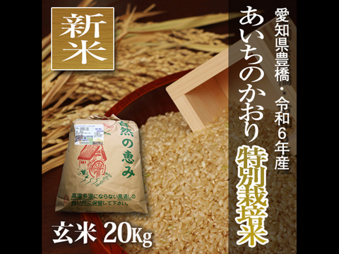 ★新米★【栽培期間中農薬不使用】あいちのかおり 玄米20kg（10㎏×2袋）【令和6年・愛知県産】