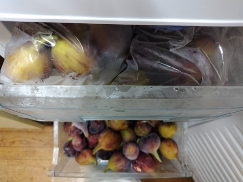 訳あり冷凍宝いちじく！（加工用）4.5kg