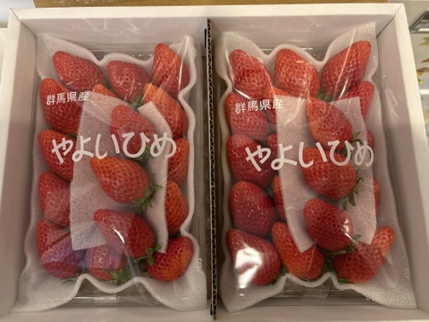 🎶ちょっぴり小粒🎶やよいひめ『群馬いちご』320g×4トレー